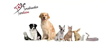 Webdesign Agentur Nürnberg für Tierheim Hersbruck